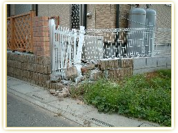 �G�N�X�e���A��C�{�H��