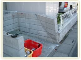 �G�N�X�e���A��C�{�H��