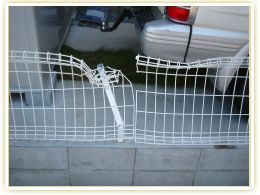 �G�N�X�e���A��C�{�H��