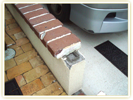 �G�N�X�e���A��C�{�H��