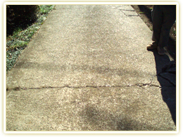 �G�N�X�e���A��C�{�H��