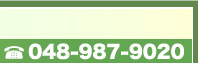 048-987-9020